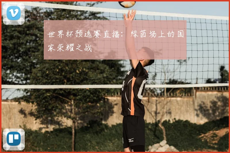 世界杯预选赛直播:绿茵场上的国家荣耀之战