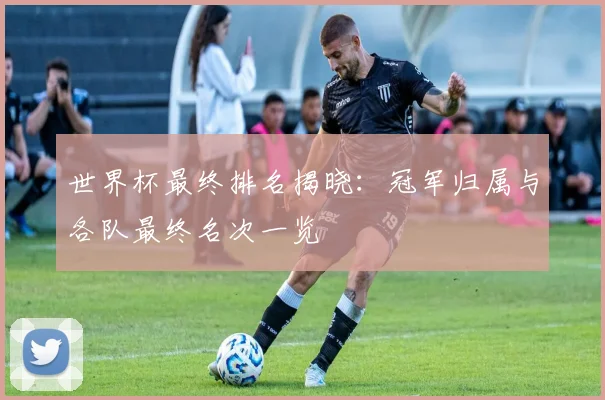 世界杯最终排名揭晓：冠军归属与各队最终名次一览